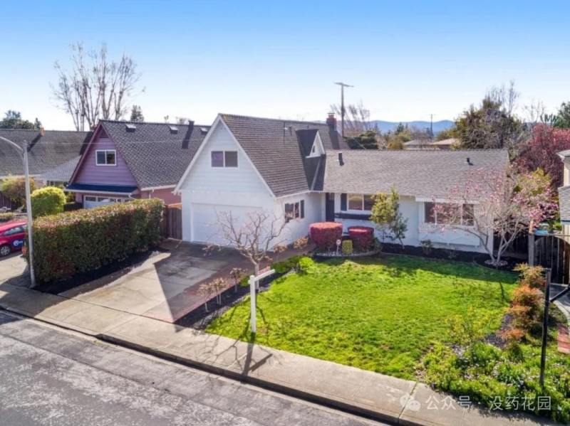 聊聊清华谷歌工程师杀妻案