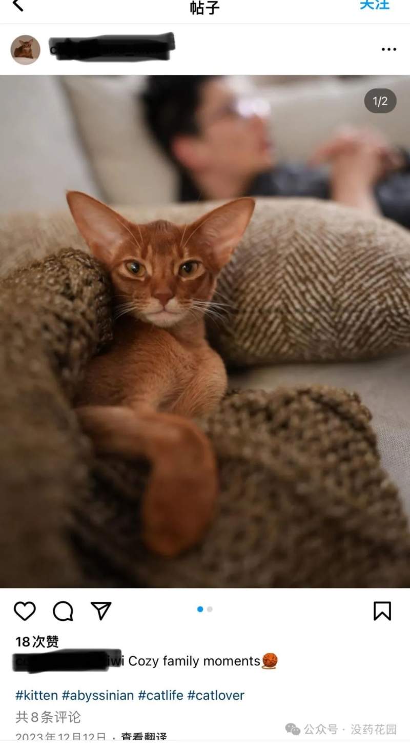 聊聊清华谷歌工程师杀妻案