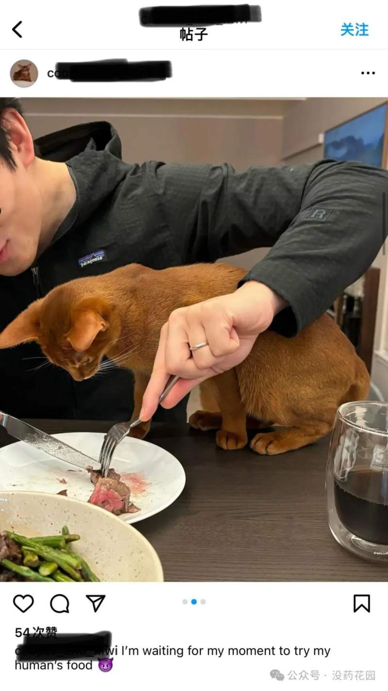 聊聊清华谷歌工程师杀妻案