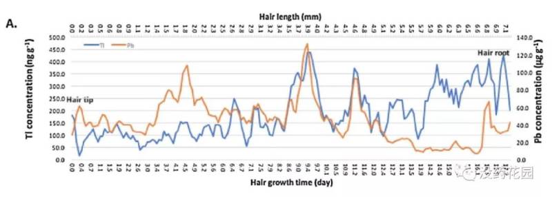 没药花园朱令铊中毒案系列（5）2018年新数据解读