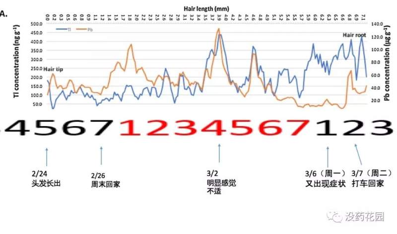 没药花园朱令铊中毒案系列（6）终结篇