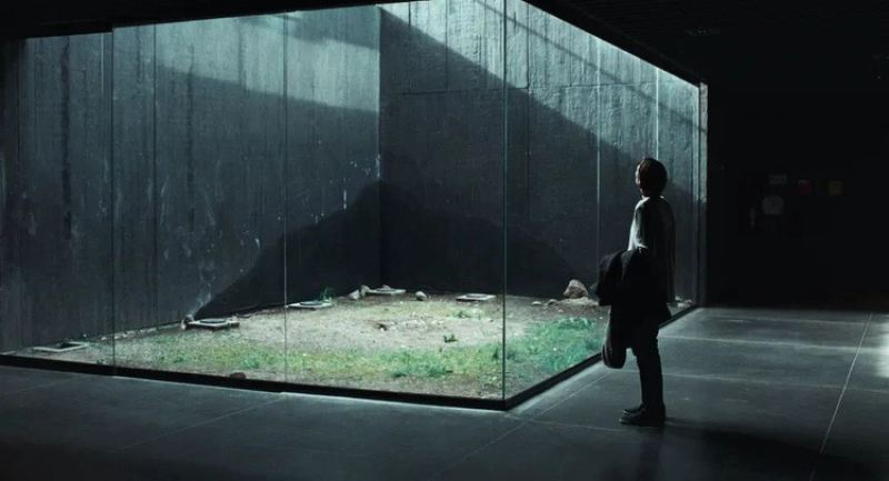 中国导演学阿彼察邦