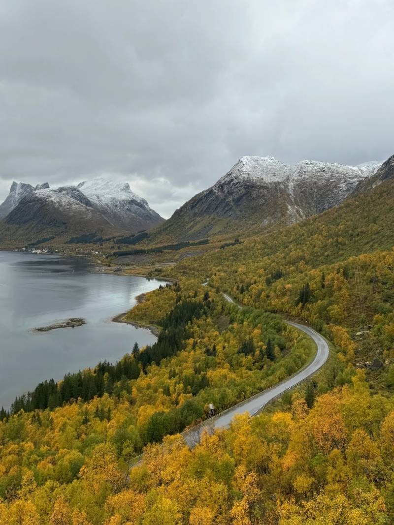 从挪威回来后，我躲在公司厕所里看旅行照片哭