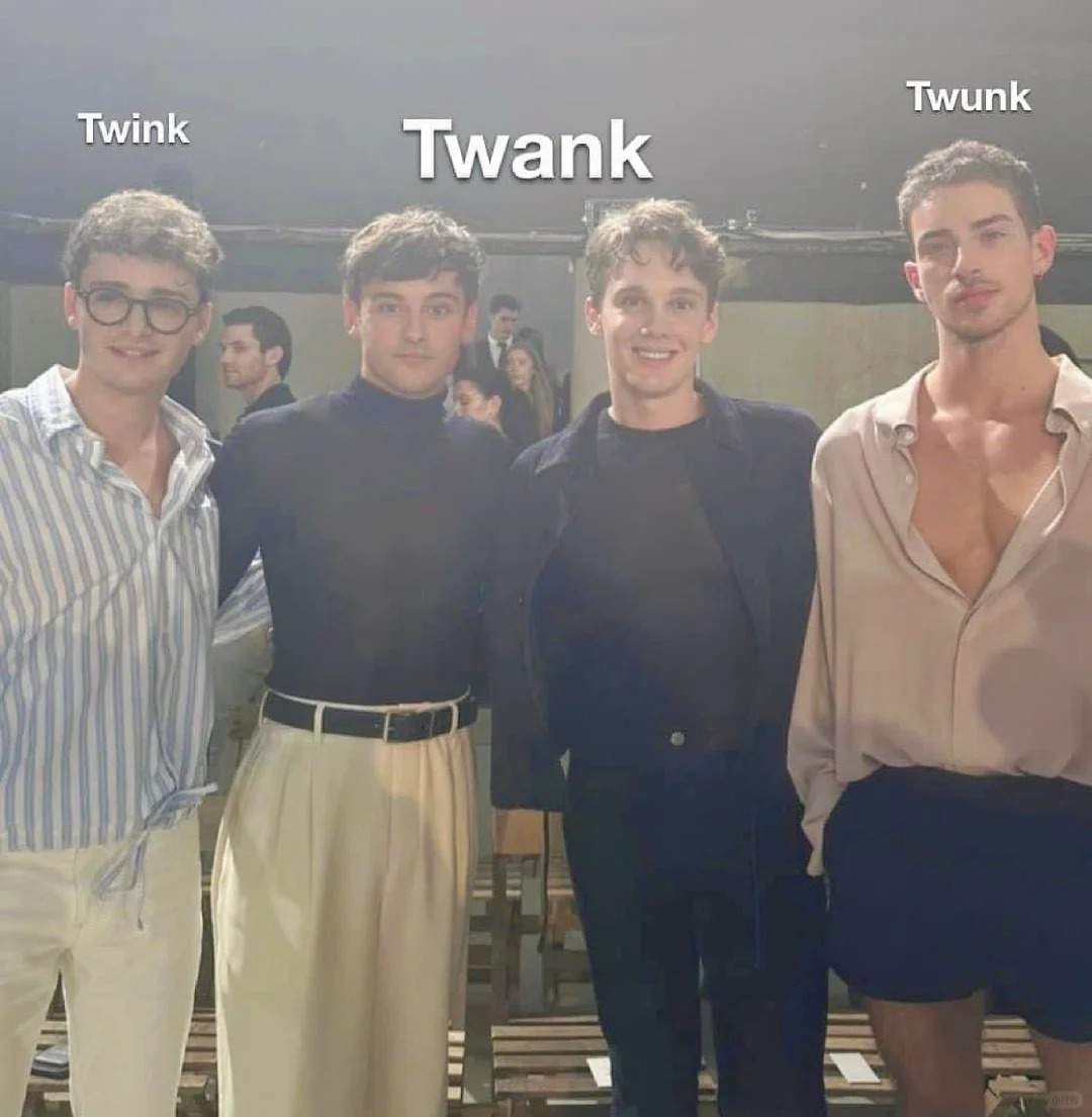 Twink / Twank / Twunk 三个词的区别