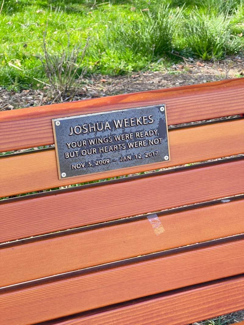 被公园长椅上的牌子刀了又刀