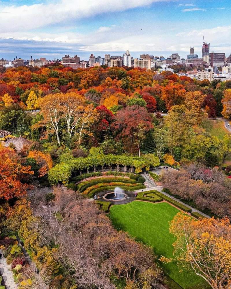 纽约的秋天来了