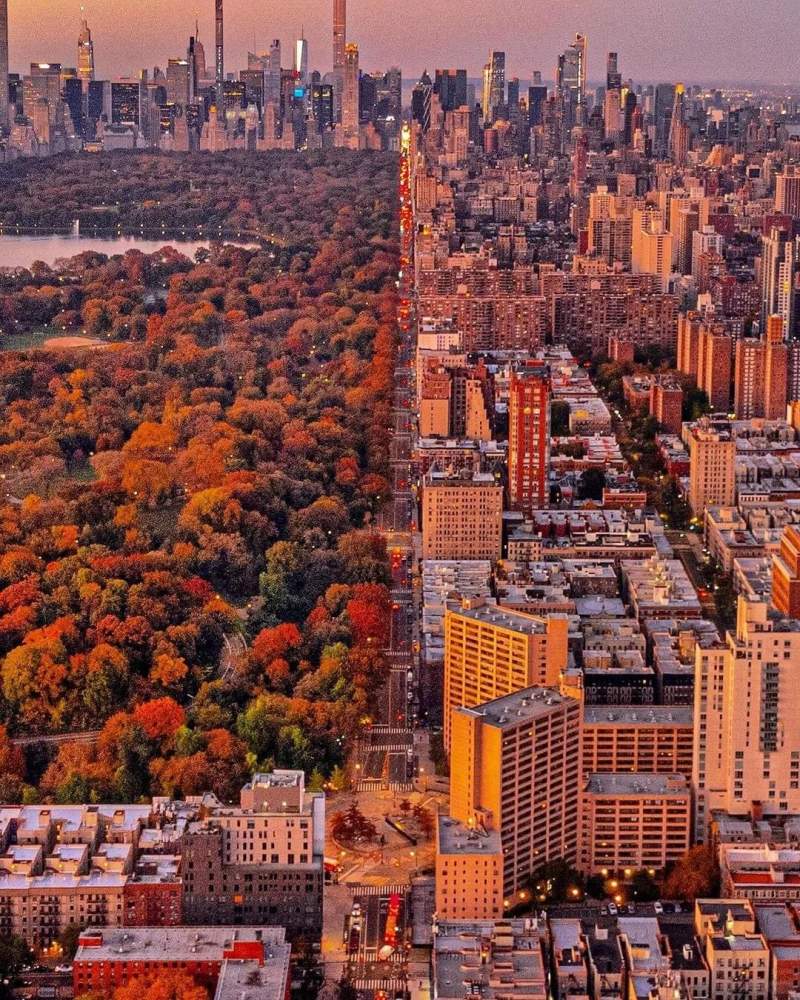 纽约的秋天来了
