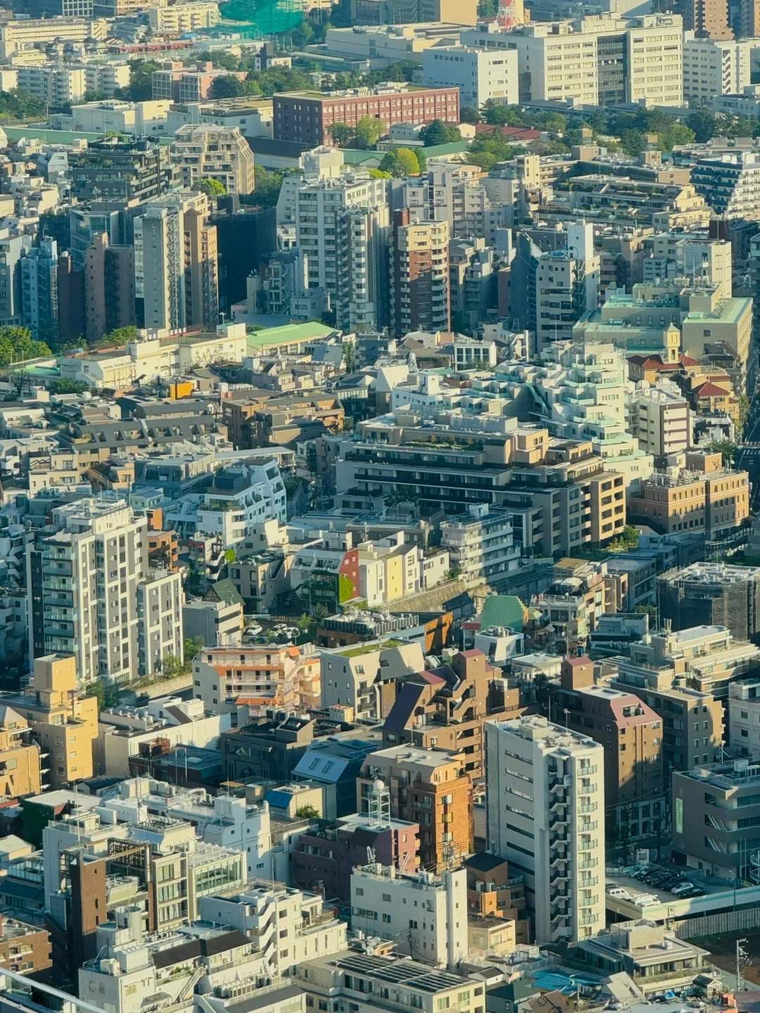 俯瞰东京，似乎超越了人类的理解能力