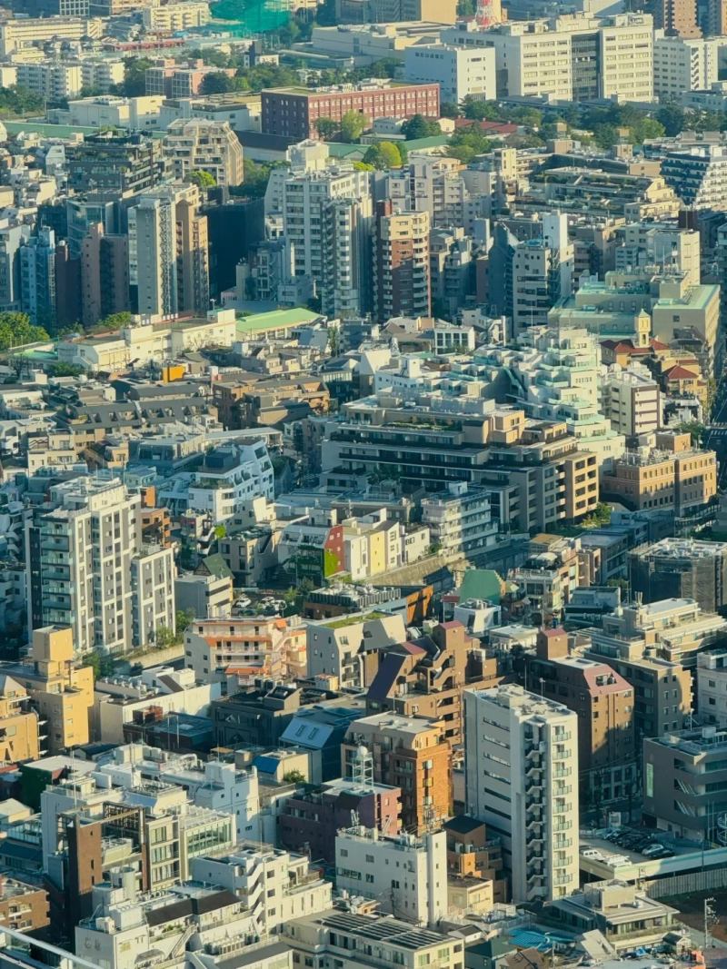 俯瞰东京,似乎超越了人类的理解能力