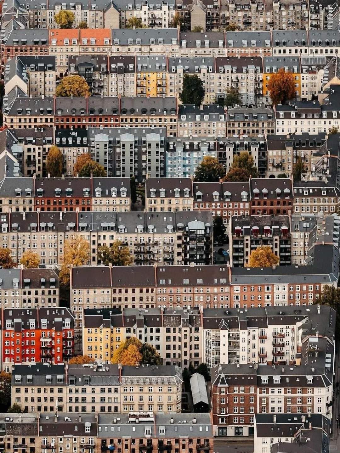 丹麦简史 ❷ 雄霸北海的海盗帝国，丹麦克努特大帝与北海大帝国