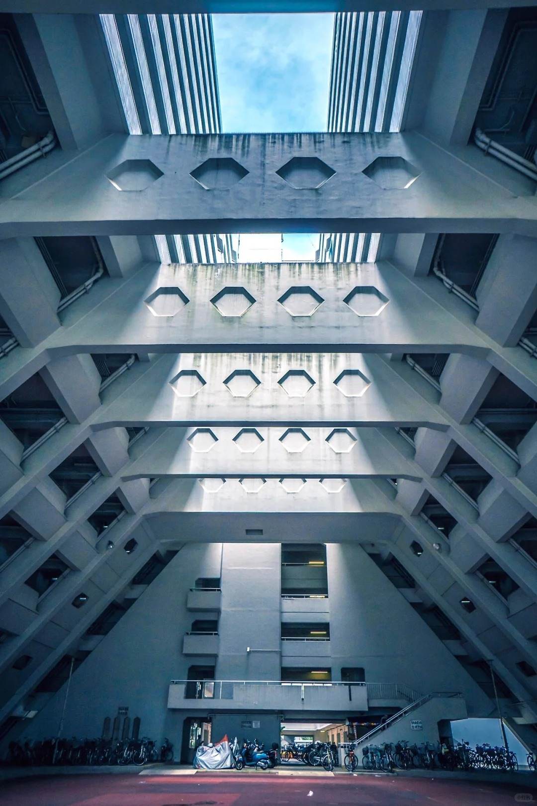 匈牙利简史 ⑧ 蒙古VS匈牙利，金帐汗国入侵匈牙利的鞑靼之灾