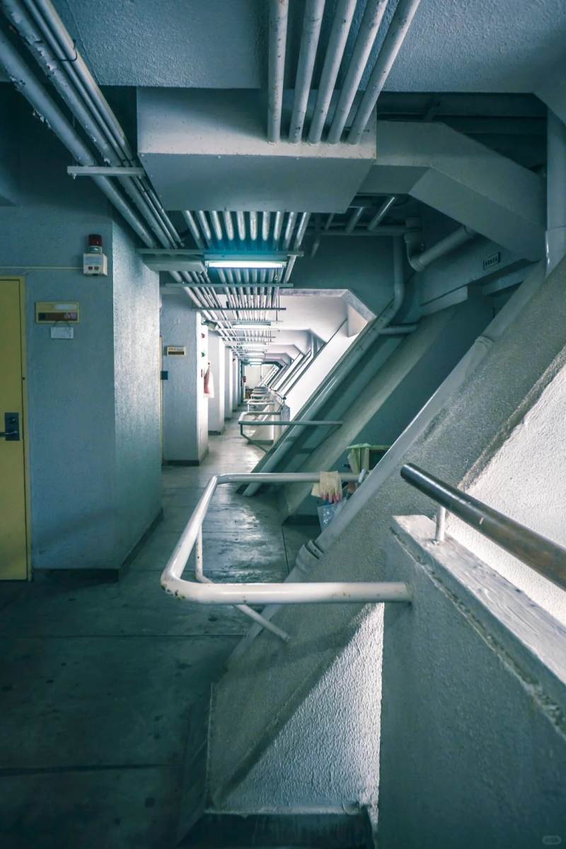 日本｜还剩4000户住在这个1972年的团地公寓