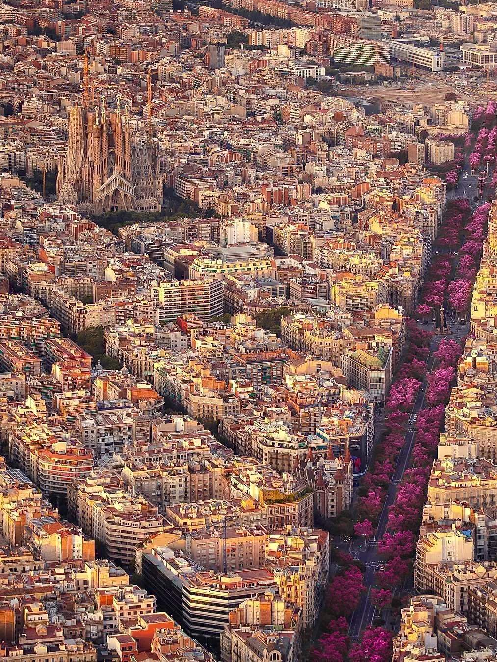 匈牙利简史 ⑰ 匈牙利还是哈布斯堡？匈牙利如何沦为哈布斯堡领地