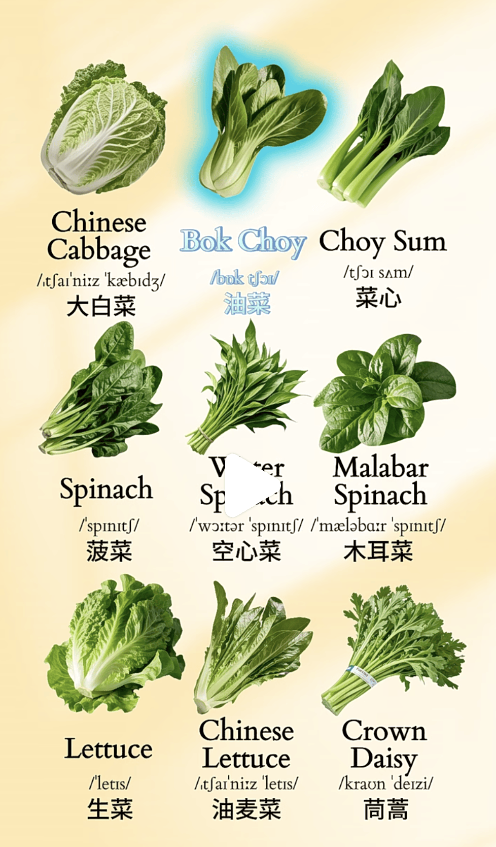 保加利亚第二帝国之殇，从败落到灭亡——保加利亚简史29