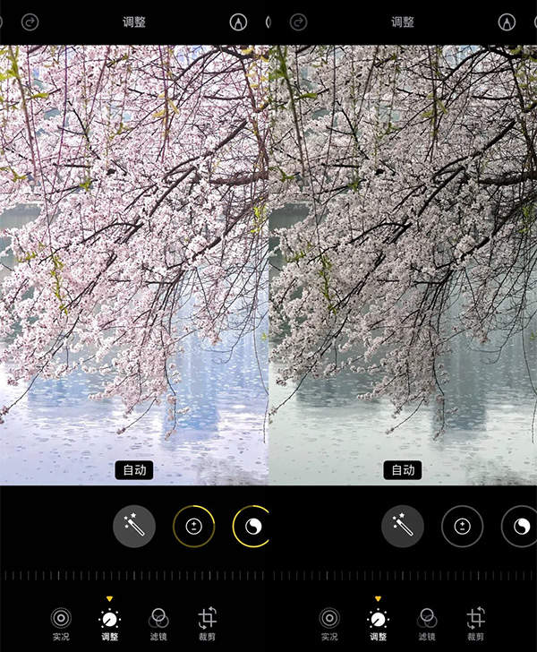 终于知道这种阴天樱花滤镜怎么调了