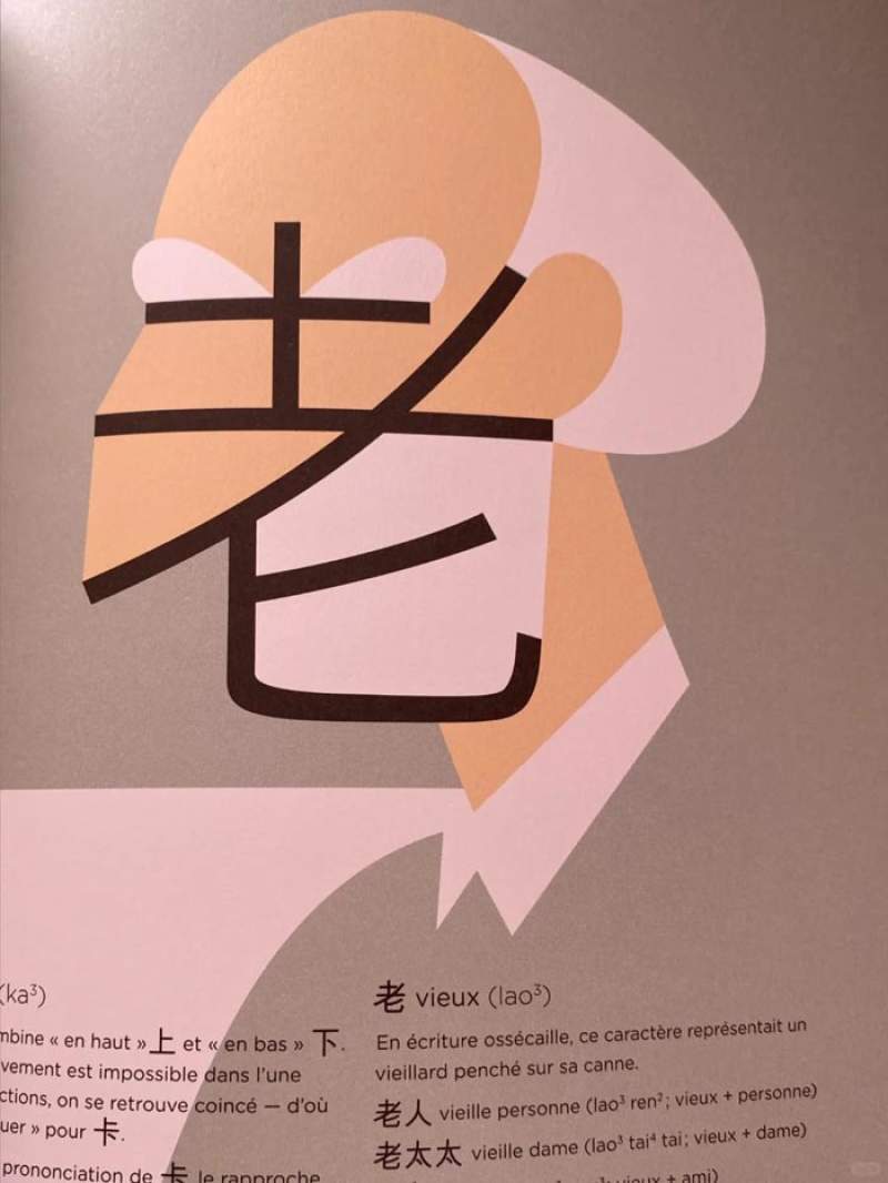 🇫🇷真的会被法国人的汉语书笑死