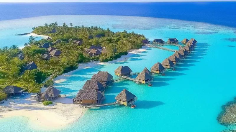 我回到了波拉波拉,但我并不快乐