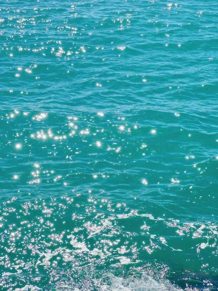 东亚人是携带着让自己始终有事可愁的基因吗