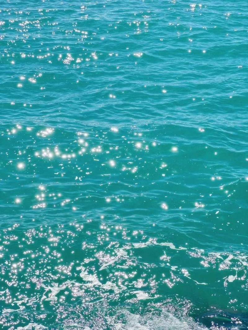 东亚人是携带着让自己始终有事可愁的基因吗