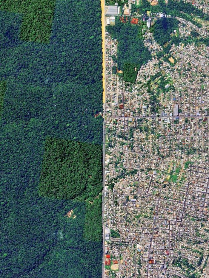 亚马逊雨林与城市的美丽邂逅