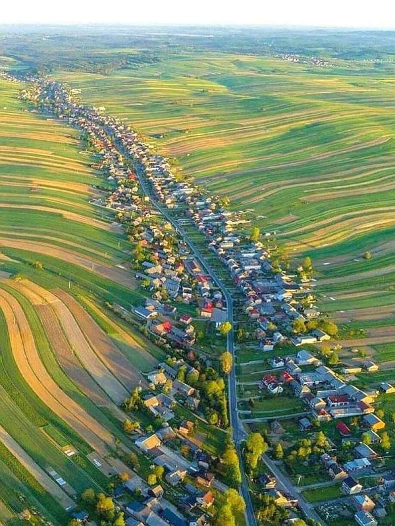 波兰的这个乡村简直是社恐人士的理想家园