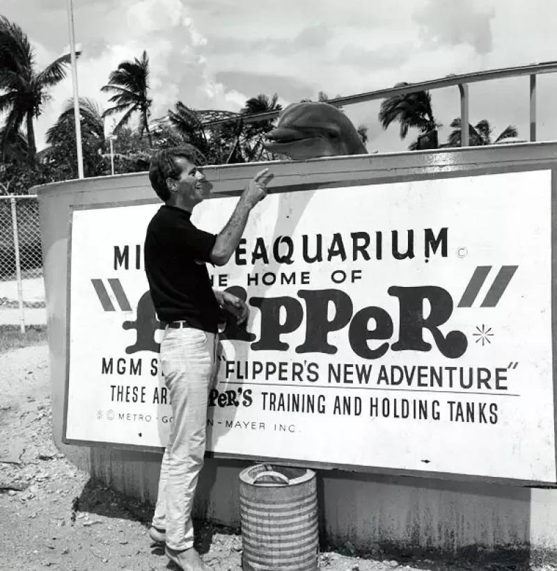 他用十年建立了海豚表演业,然后用余生去毁灭它