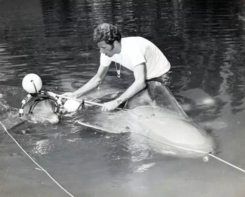 他用十年建立了海豚表演业,然后用余生去毁灭它