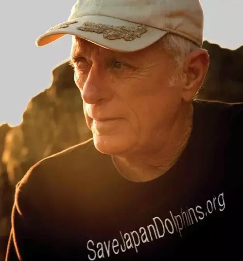 他用十年建立了海豚表演业,然后用余生去毁灭它