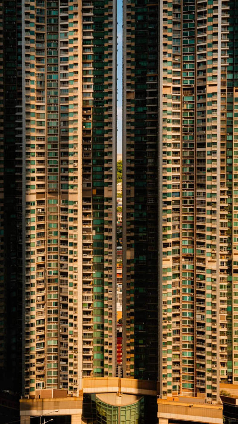 香港：人成为了钢筋水泥迷宫里的真正蝼蚁