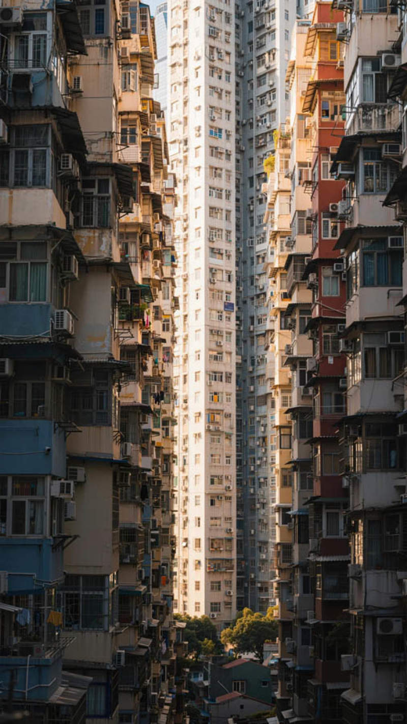 香港：人成为了钢筋水泥迷宫里的真正蝼蚁