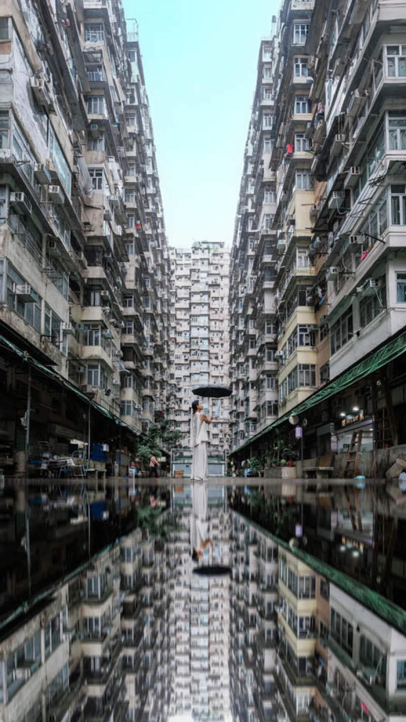香港：人成为了钢筋水泥迷宫里的真正蝼蚁