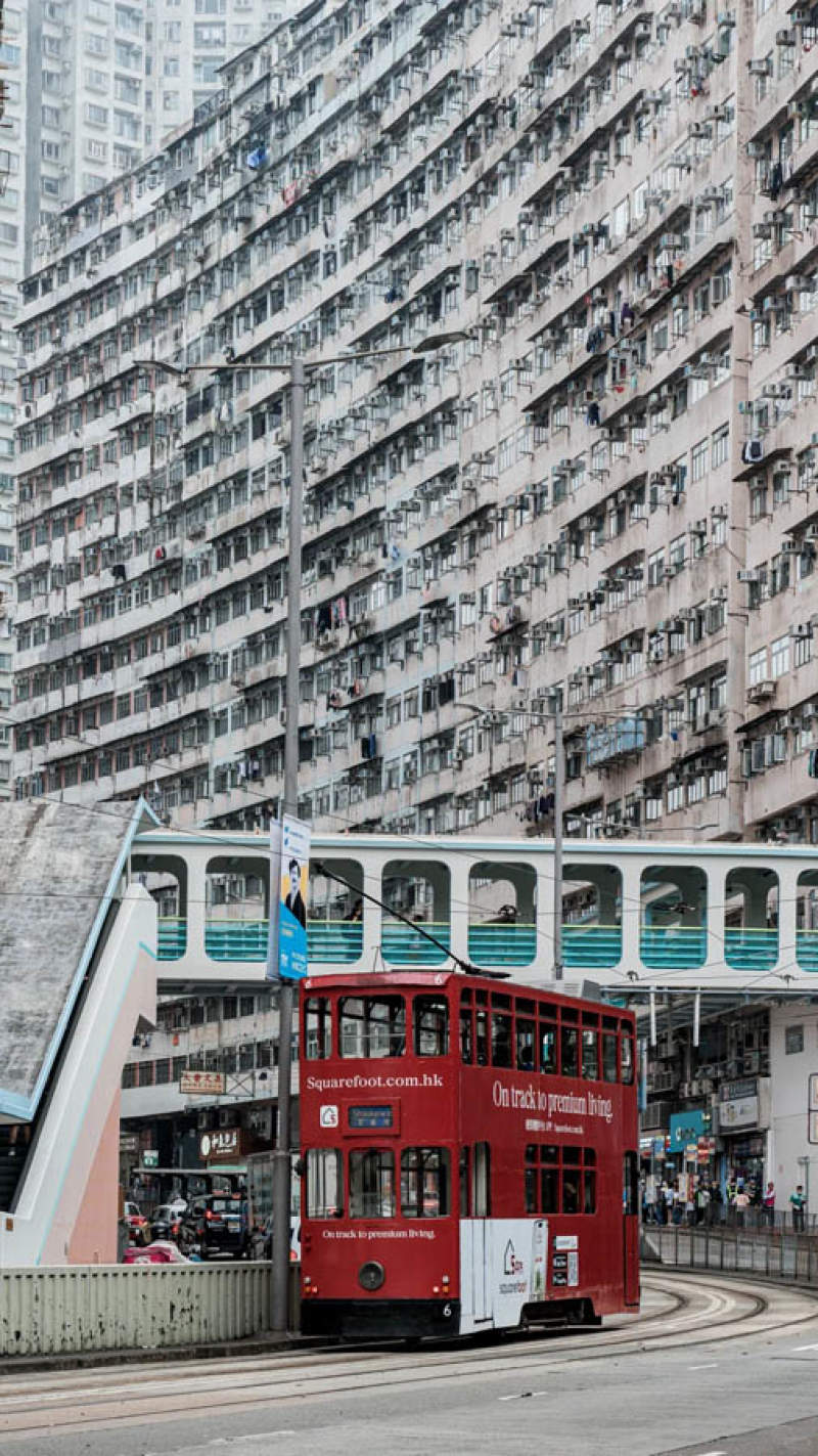 香港：人成为了钢筋水泥迷宫里的真正蝼蚁