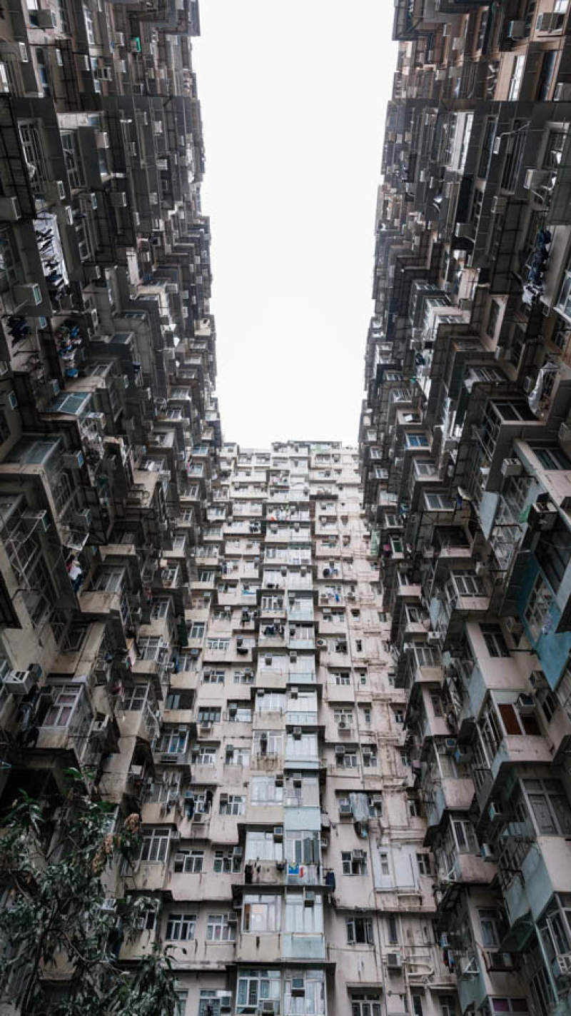 香港：人成为了钢筋水泥迷宫里的真正蝼蚁