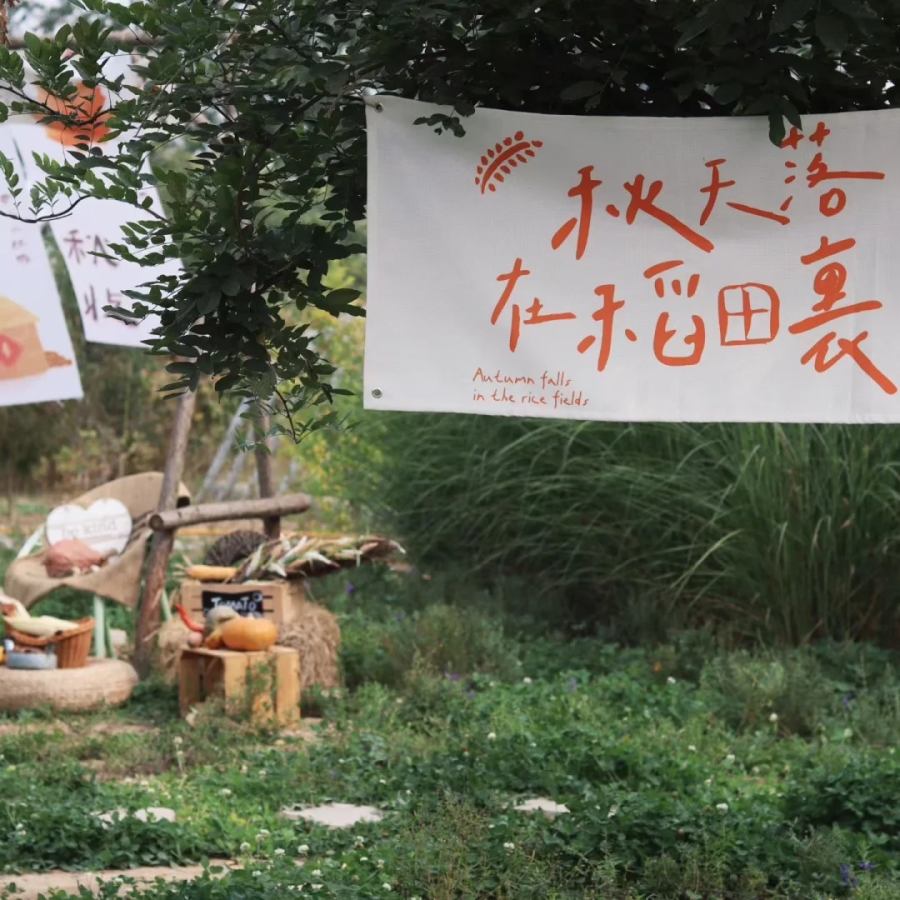 北京通州本然农场