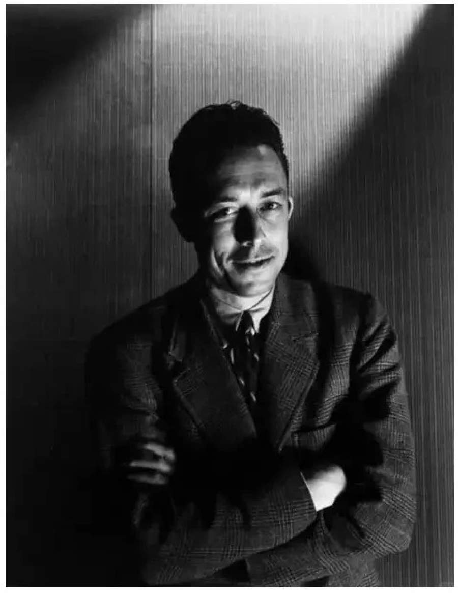 “我不知道还有什么比死于车祸更愚蠢的了”