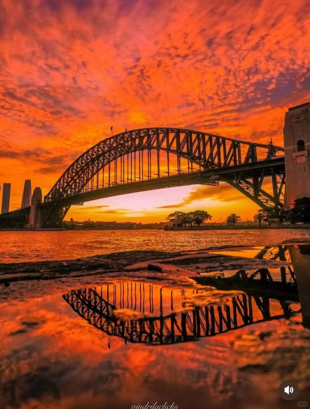 镜头里闪闪发光的悉尼