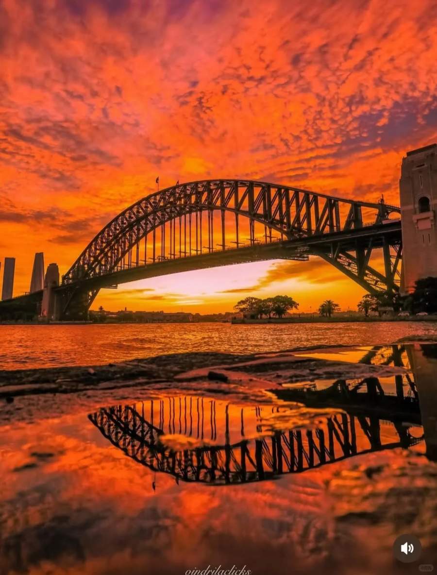 镜头里闪闪发光的悉尼
