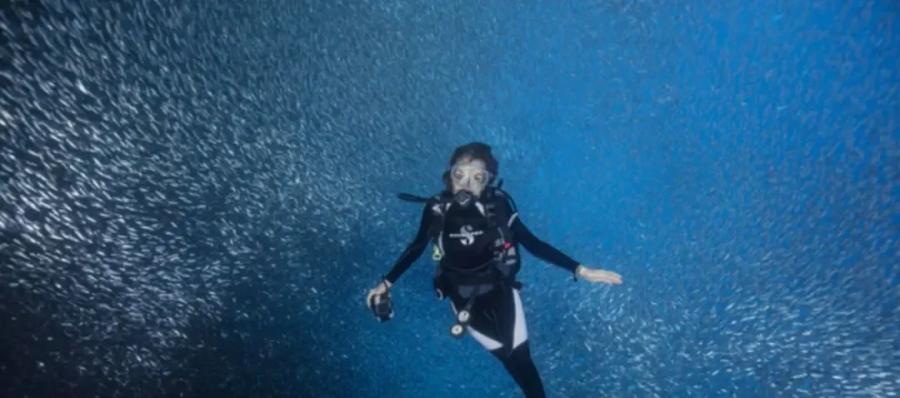 席薇亚·厄尔：83岁仍在征战的深海女王